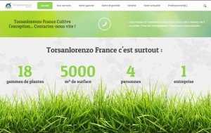 nouveau-site-torsanlorenzo